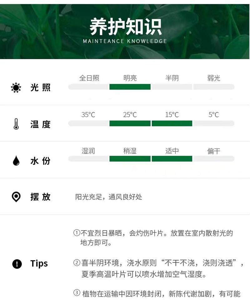 e91caaee-017d-4cc5-95fd-5bb9c707364f.jpe