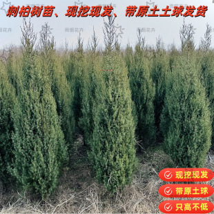 �ؘ̰���̰����ɰؘ������G����ͥԺ�F�ڬF�l��ԭ������l؛