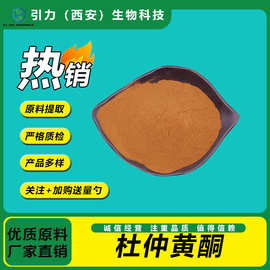 杜仲黄酮80% 杜仲提取物 水溶 引力现货 量大价优