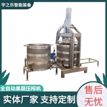 厂家定制桑葚压榨机 液压压榨过滤分离设备 食品加工果蔬榨汁机