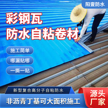 �������ճ��ˮ���� ��������淭���a©�FƤ����z�𿾷�ˮ����