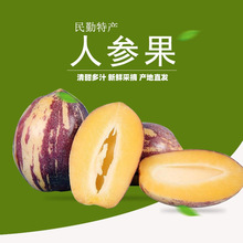 ���C����ɳĮ�˅������rˮ�����������S���˅��L�������������]