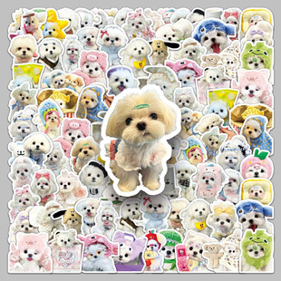 50���R����˹Ȯ�N���Ȍ�С��Ħ��ʹ�ɐ۹����b�ˮ�֙Cˮ���N��