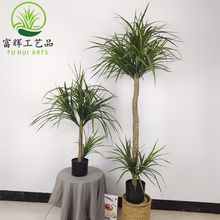 ����ֲ��ǧ��ľ��Ѫ���F����횘����ԽM�Ͼ��^�쾰�Gֲ�[�����l