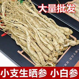 【源头厂家】长白山人参厂家直销小人参代发大量批发一件代发福利