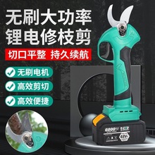德國技術通用電池電動剪刀果樹充電式修剪鋰電池園藝剪樹枝剪修花