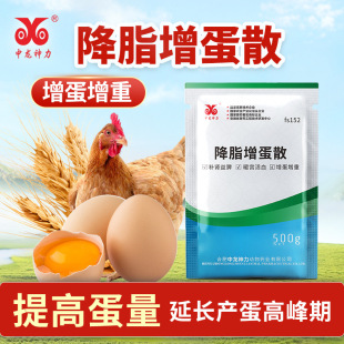 ��֬����ɢ�F���������J���u���Z�����îa���`���õ����