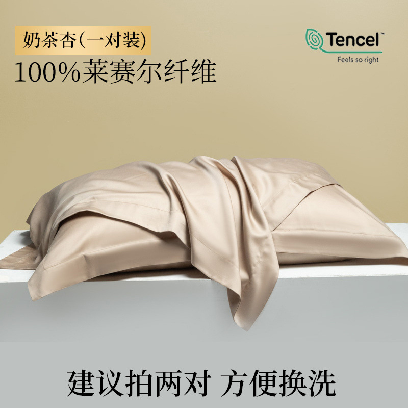 Funda de almohada de verano Tensi Funda de almohada de seda Un par de fundas de almohada de seda de hielo 48cmx74cm2024 Nuevo 2