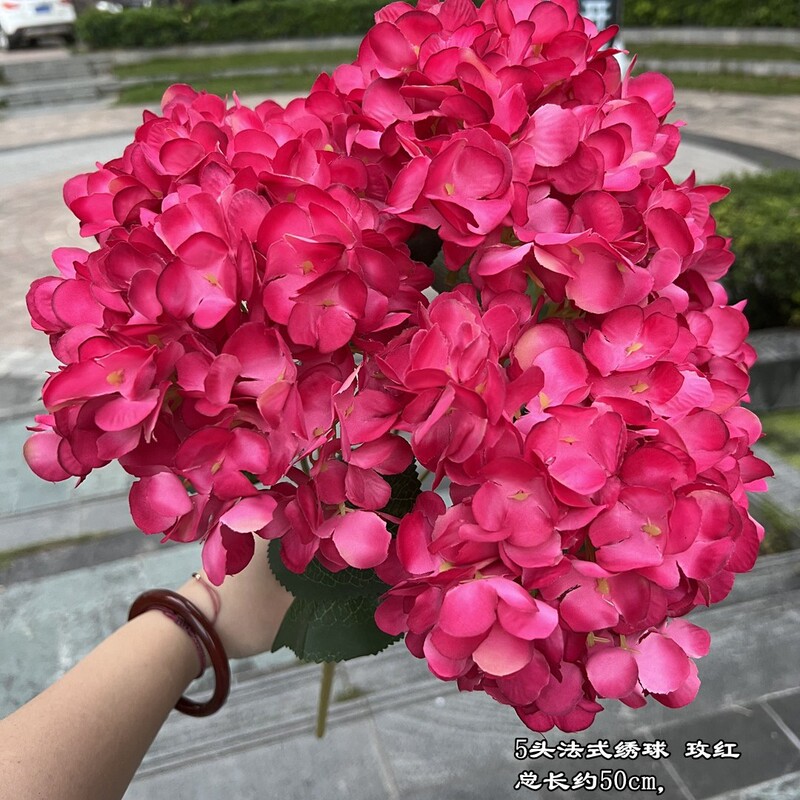 【シミュレーションアジサイ】外国貿易5頭フランスアジサイグリーンフランスアジサイ平が結婚祝いの花卸売りをしている|undefined