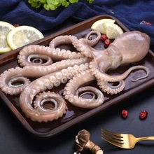 八爪鱼 东山岛特色海鲜 大长腿章鱼【爱心鱼满舱一件代发直播】
