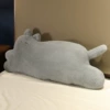 MyQ-lying posture gray cat