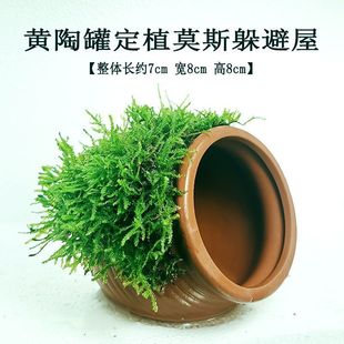 ���~����ɰ��ƿ������~���쾰Ī˹ˮ�ݽ��X�ő��������[���~�r�C