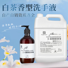 白茶泡ハンドソープ 500ml プッシュ式ボトル 家庭用・ホテル専用 大容量詰め替え用 箱詰め卸売