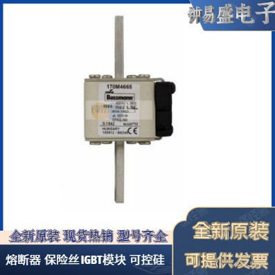 美国BUSSMANN熔断器170M4965 170M4966 170M4967 巴斯曼熔断器