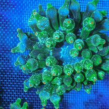 ���캣���G���캣��С���~�����Ƚ��c����ܛ�wɺ�����]ҊԔ��