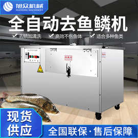 全自动去鱼鳞机罗非鱼草鱼去鱼鳞清洗机械商用型多功能不锈钢设备