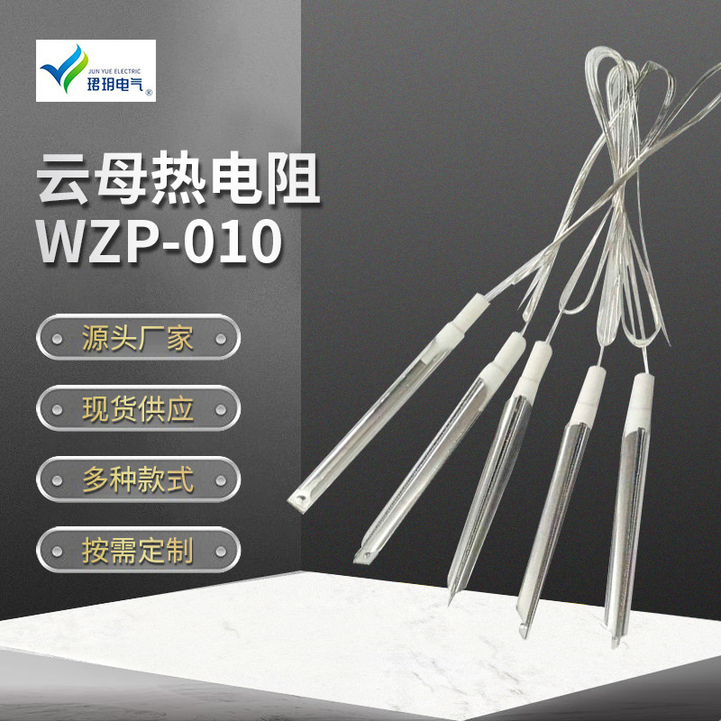 温度仪表测温仪表 云母热电阻WZP-010可连接式热电阻厂家供应批发