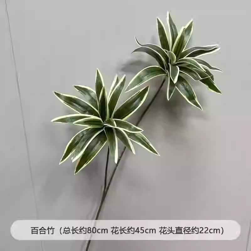 芦荀草绿植花龙须草假花白绿森系婚庆装饰自然风背景插花路引|undefined