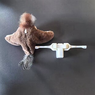 �羳؈�����늄�ë�qС�B������ȸ���˽␞؈��߶����B��؈��