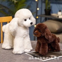 �羳�L�Ⱦ����F�eȮ���пɐ۹�����żë�q���˯�X����������