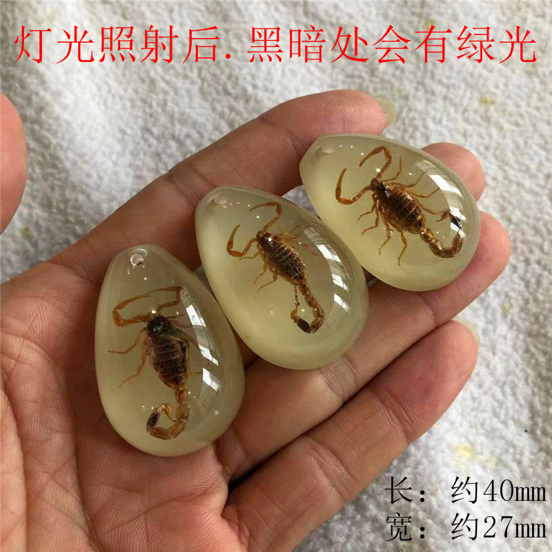 儿童挖掘考古昆虫标本 合成树脂琥珀昆虫 散装水滴盲盒标本现货|undefined