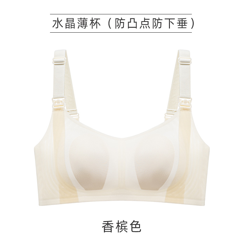샴페인
