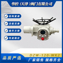 ����һ�w������DDZW-120-WK2�y�T늄��b�ö���D�L�y늄��^