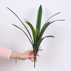 手触りの柔らかいゴムの蘭の花の葉の君子の蘭の葉の薔薇の蘭の葉の家庭の客間の生け花の装飾の花の芸をシミュレーションします。