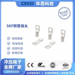 Cnxi Huaxi Technology Skf Copper Pipe Terminal Copper Nose Skf10/120 Lyf Type Peep Hole Type Copper Wire Nose Terminal