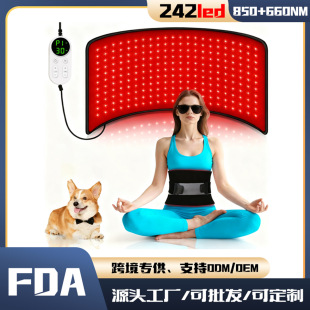 �羳�¿�t�������| 242������̺��ߴ��������t�⾀�p��������