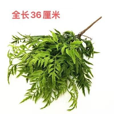 ペルシャのトルコの葉のシダの植物の偽の花の草の緑の葉の結婚祝いの柔らかい装飾の生け花の配材の背景の壁の装飾|undefined