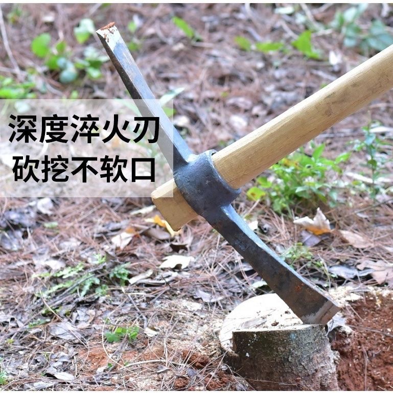 微信图片_20240106011155