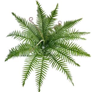 ֲָܛzGֲާާݲ˹ݸ߷