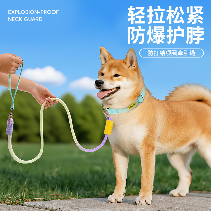 新款项圈牵引二合一P绳加厚加宽不勒手不勒脖舒适牵引绳狗狗项圈|undefined