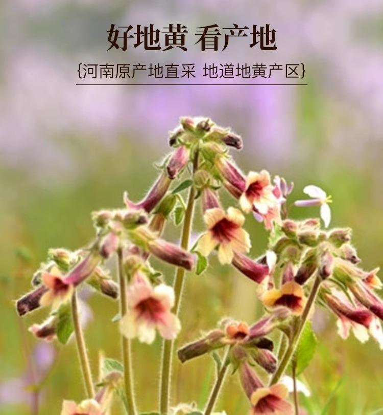 Dried Rehmannia Root Slices Sheng Di Huang Raw Herb 2000g Traditional TCM Decoction Ingredient overview