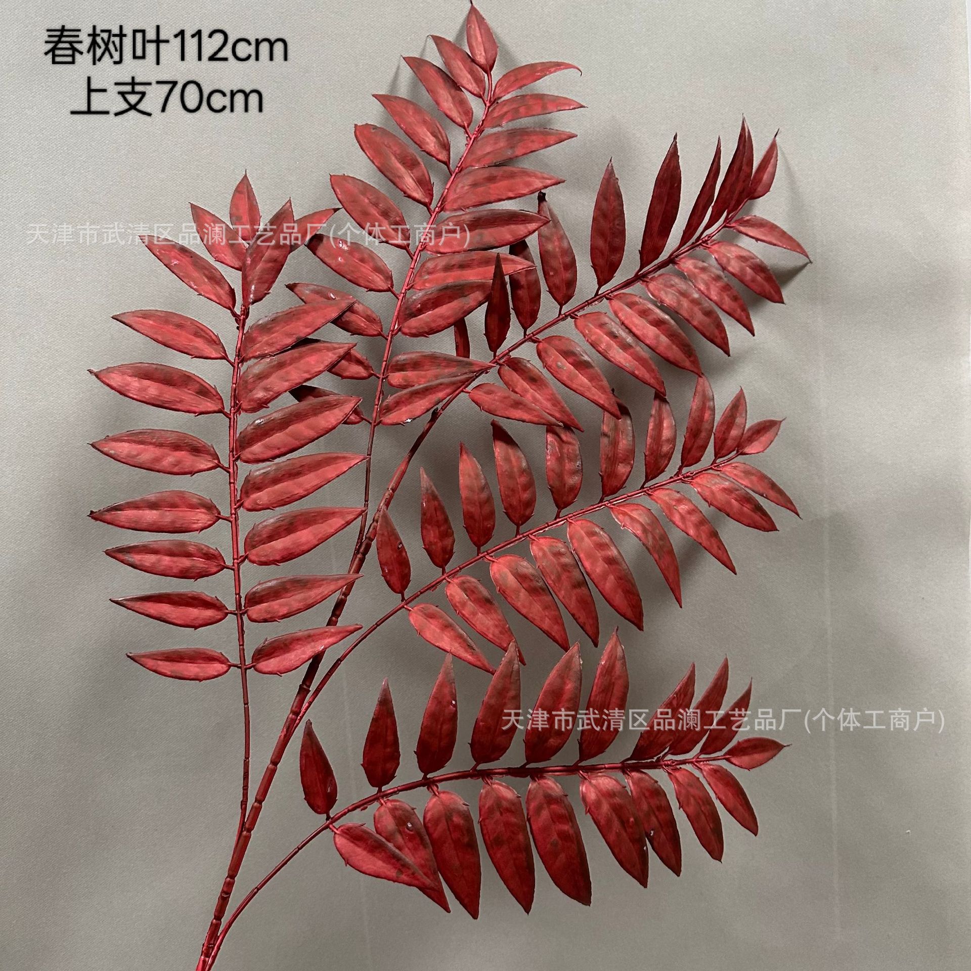 동백나무 잎