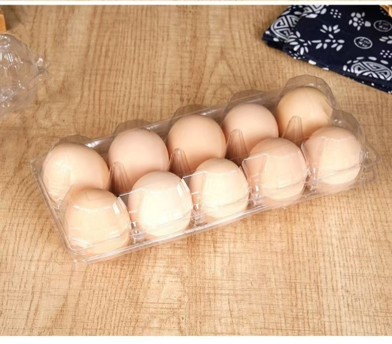 微信图片_202505281100342