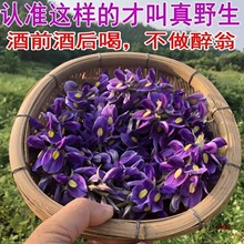 葛花茶 天然野生葛根花 葛藤花解酒茶 葛花养生茶 材葛花