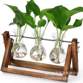 跨境木质花架带玻璃水培绿植容器家居装饰植物插花容器绿萝花盆架