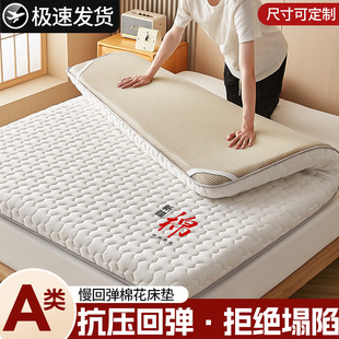 Xinjiang Cotton Mattress Home Soft Cushion Dormitory Student Single Tatami Rental Special Mattress Pad School Purchase