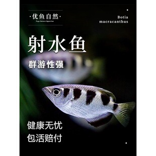 ��ˮ�~�W�t�����~�������~ϡ�е�ˮ�Ꭷ�^�p�~���w�ѓ���