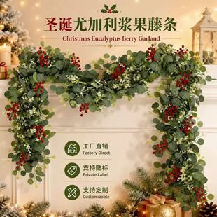 ���R�dTEMU�羳���l�}�Q�t���ȼ����ٗl�M���Ǽt�{������~������