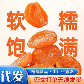 代发无核杏干不加蔗糖杏肉干袋装批发 软糯酸甜偏酸杏脯金黄杏干