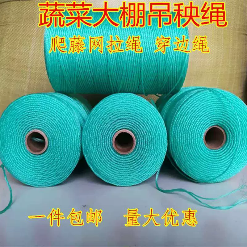 В теплице висит веревка для рассады для овощей огурец висит веревка пластиковая веревка для помидоров и помидоров