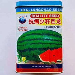 �˳��ش����������ϷN������߮a������ۼtȿ���ϷN����