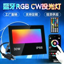 30W����RGB CWͶ��� IP66��ˮ����ͥԺ�� APPң���߲ʱ�ɫͶ���