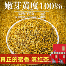 2025���²����ڵ�t��zѿ�����ؼ�����P�cС��ѿ�Ř�t�������