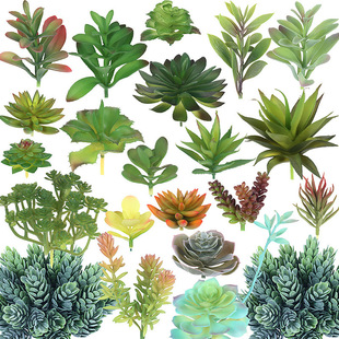 B019-3�S��ֱ��DIY�廨����ֲ���^���l�҃�ܛ�b�������ֲ�����