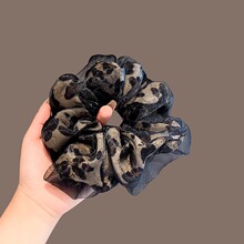 �͹ű��y�߼��д��c�lȦŮ���Rβ�^�K���|�l�K���^�lƤ��l��^�