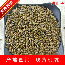 决明子 采摘挑选花草茶决明子 散装现货 炒制熟决明子茶